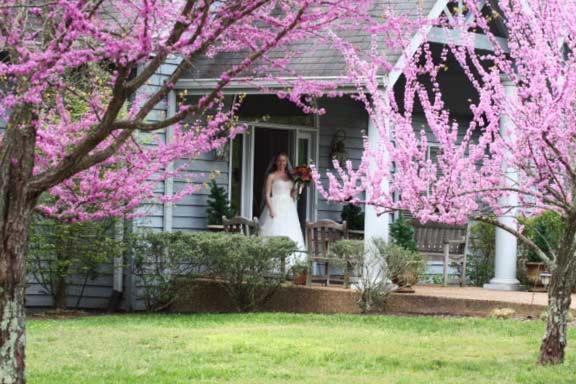 The Garden Inn Bed & Breakfast At Bee Rock Monterey Εξωτερικό φωτογραφία